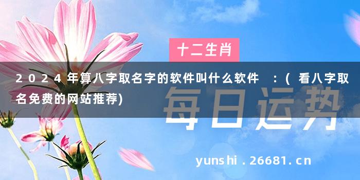 2024年算八字取名字的软件叫什么软件 :(看八字取名免费的网站推荐)
